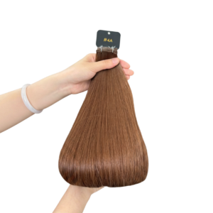 Hair Extension # 4A